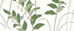 Swatch for Botanist-Laurel