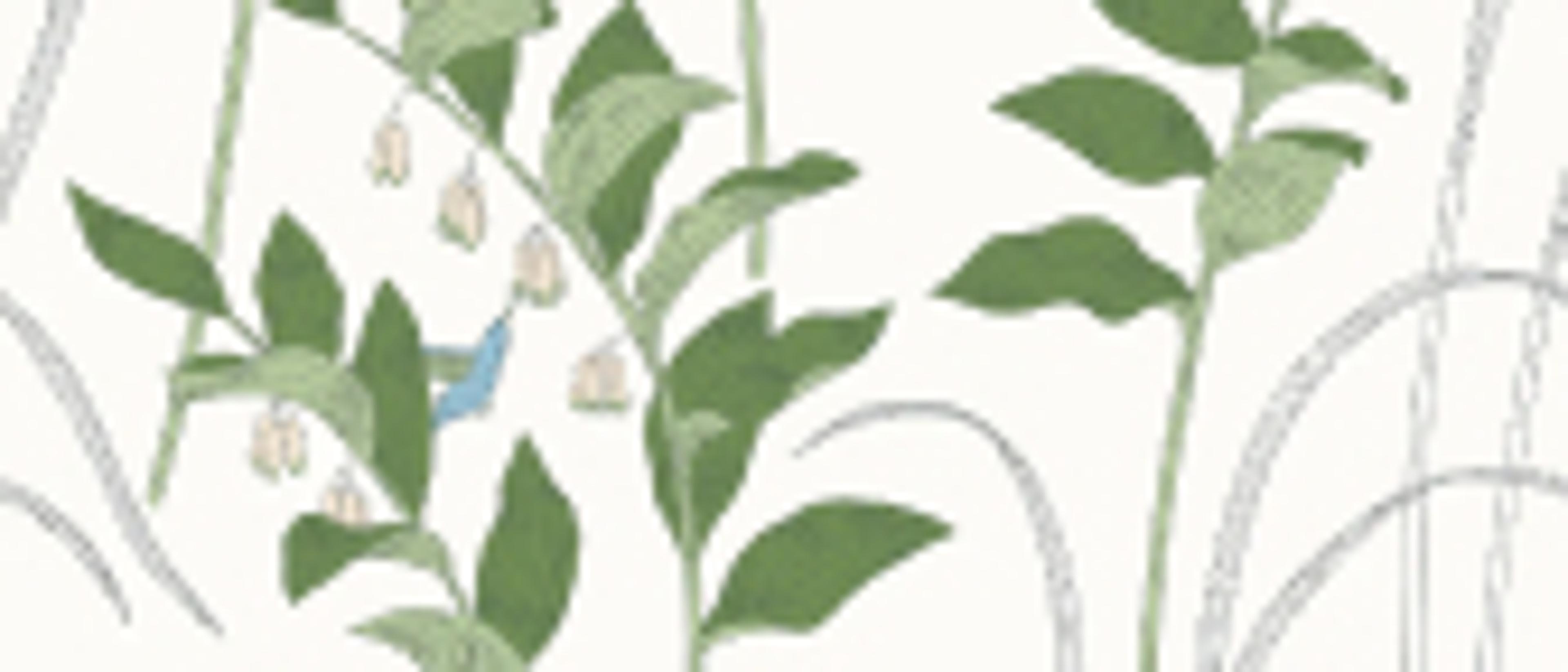 Swatch for Botanist-Laurel