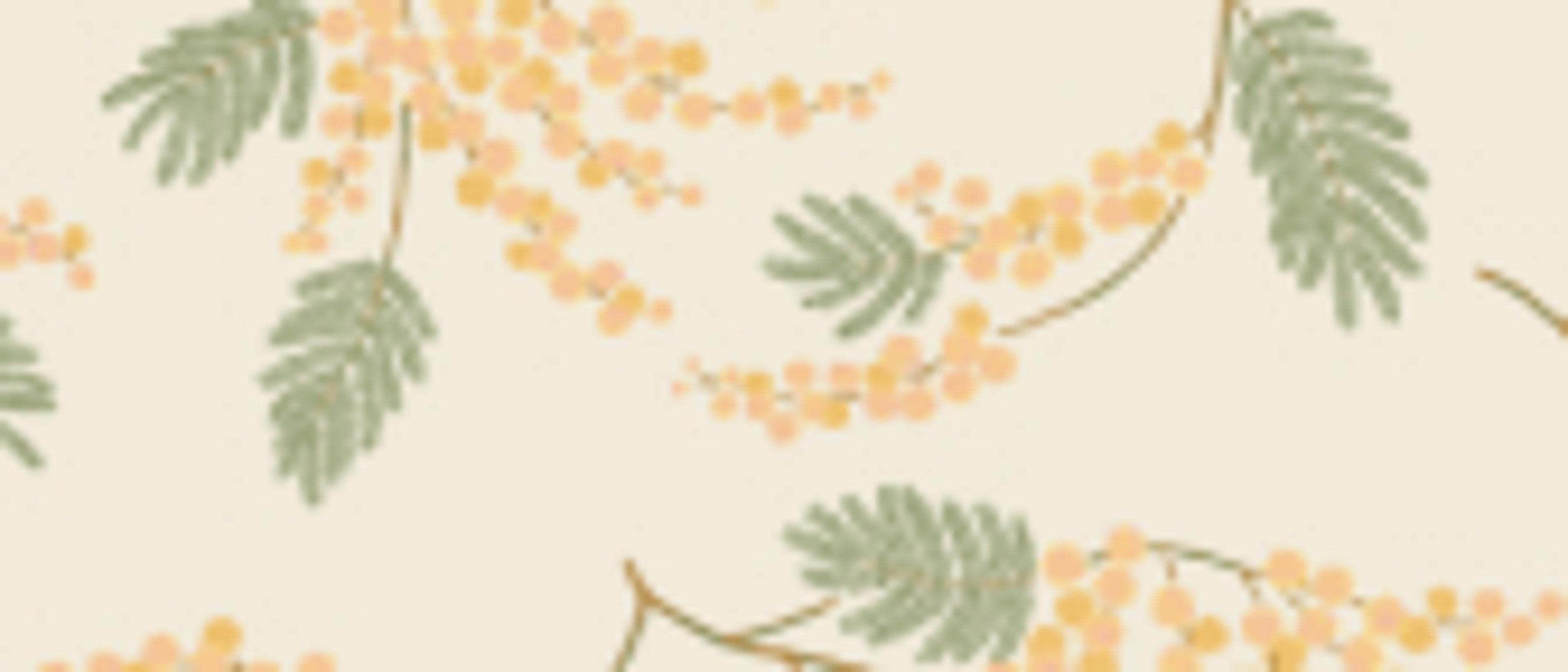Swatch for Acacia - Bellini