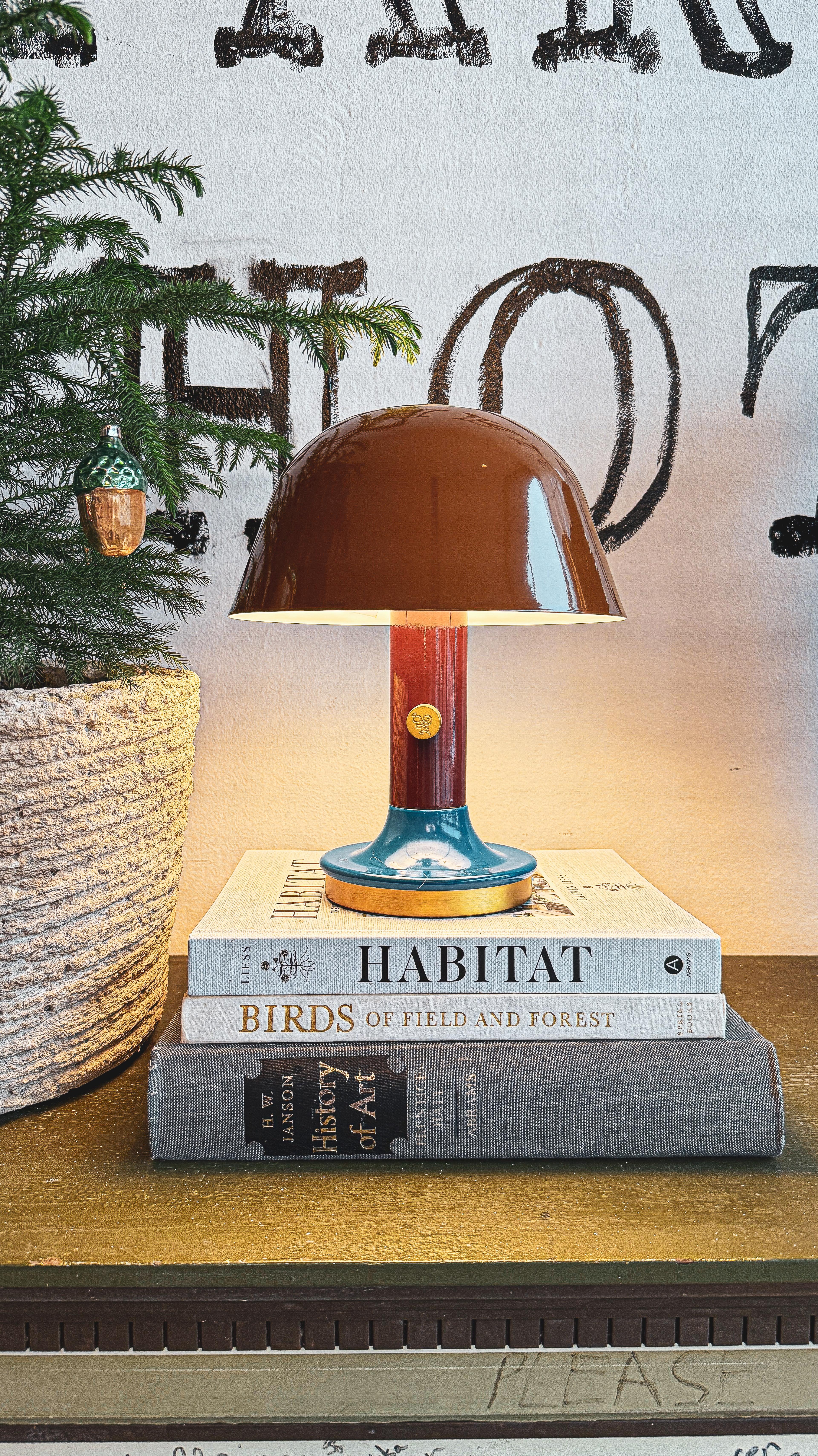 Table lamp on a stack of books.