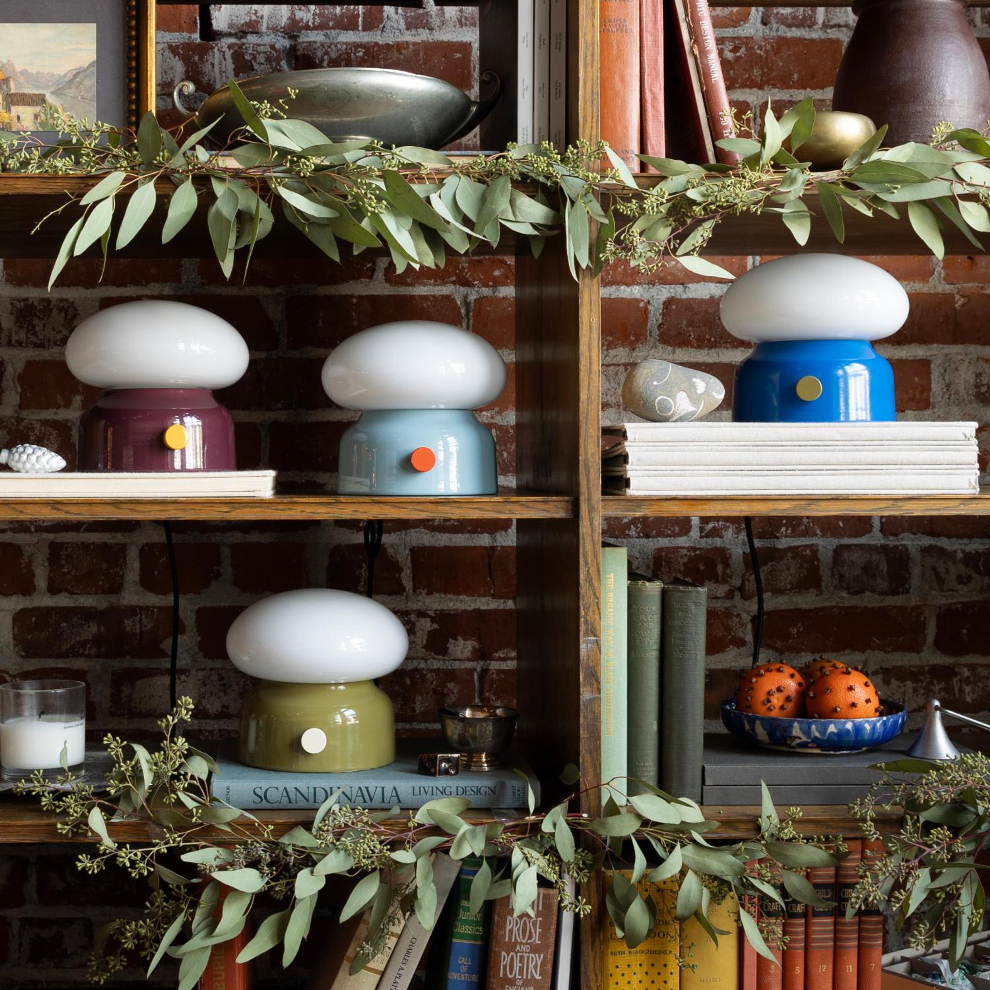 Teig lamps sitting in a book shelf