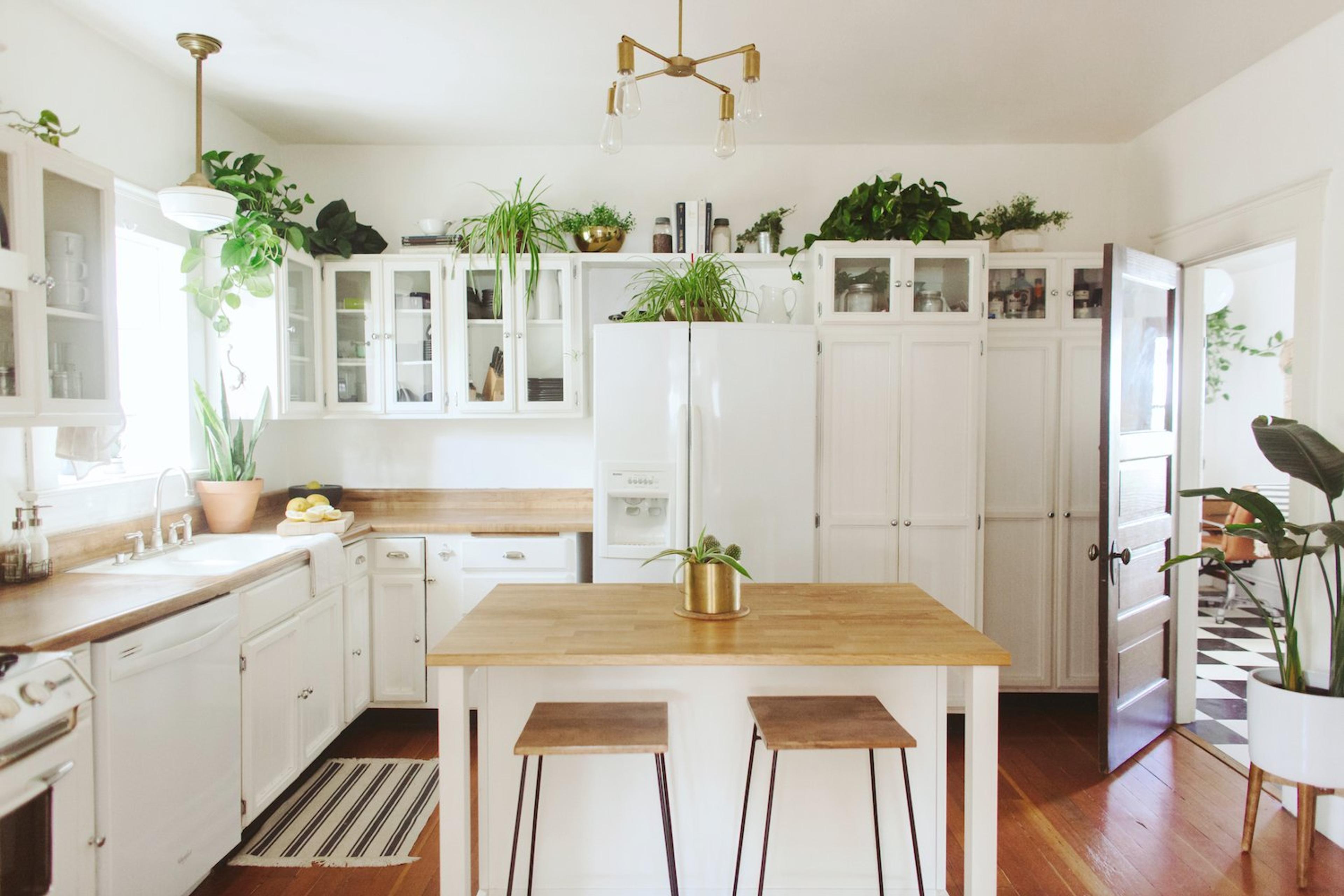 kitchen with white cabinets and plants