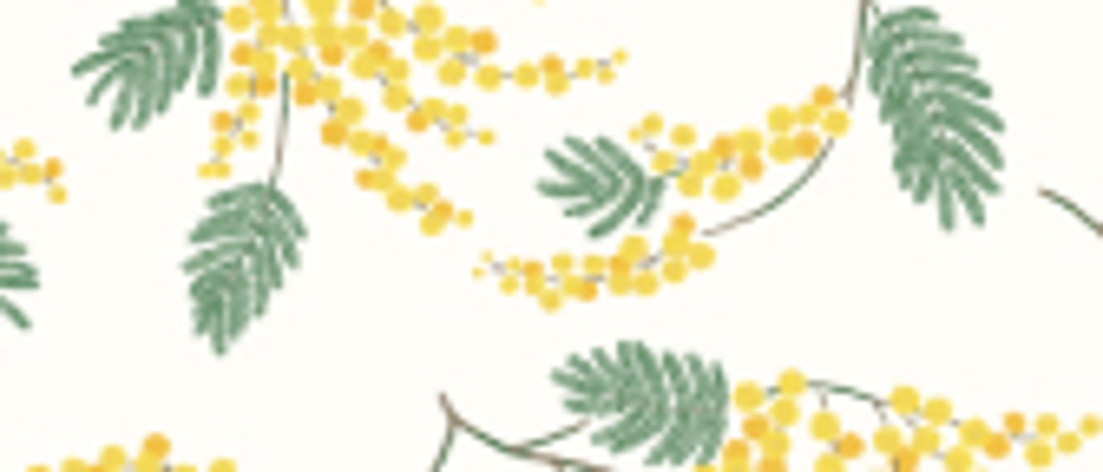 Swatch for Acacia - White