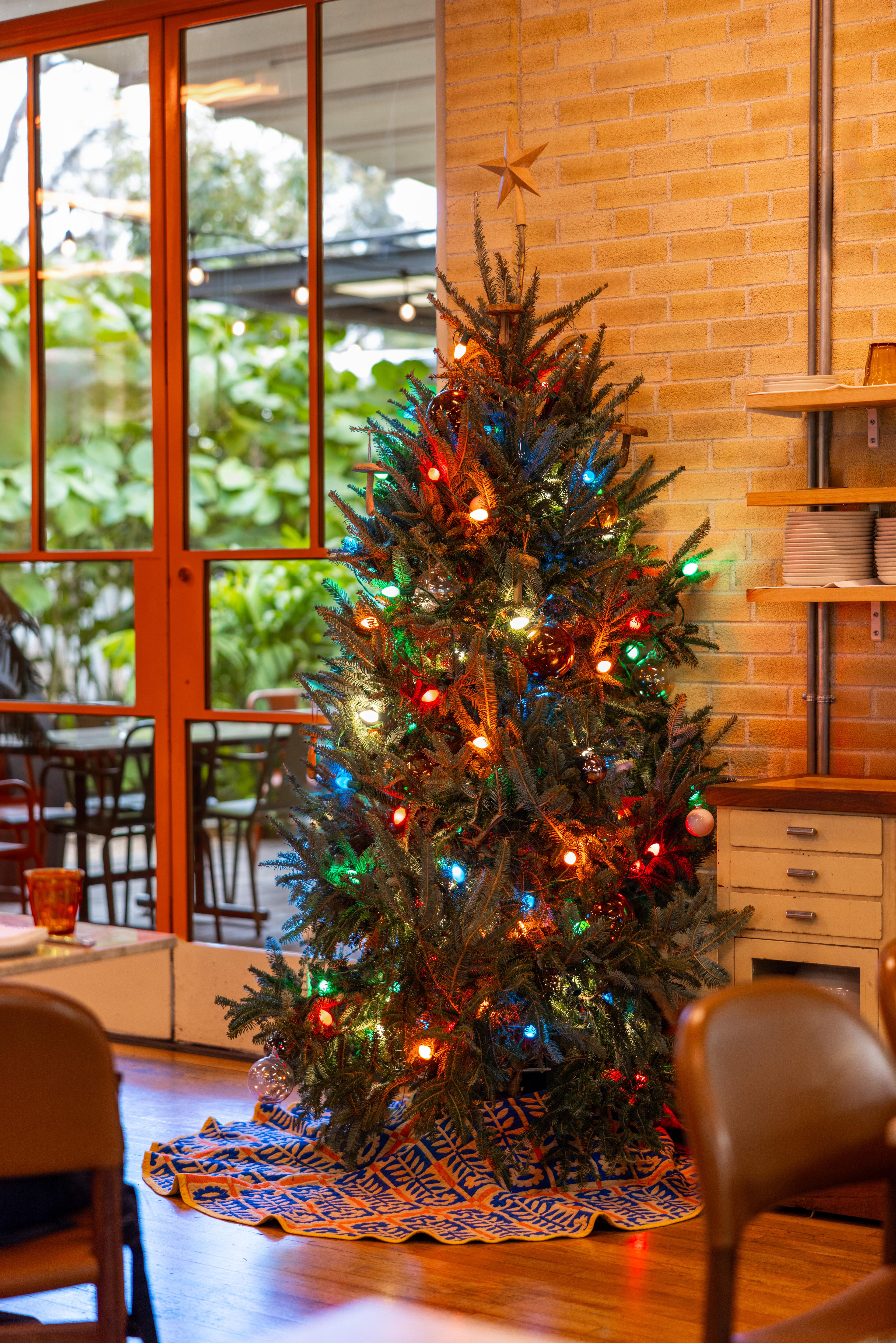 Christmas tree in a lobby.