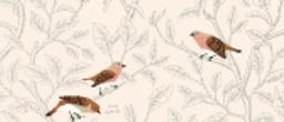 Swatch for Field Guide - Blush-Metallic