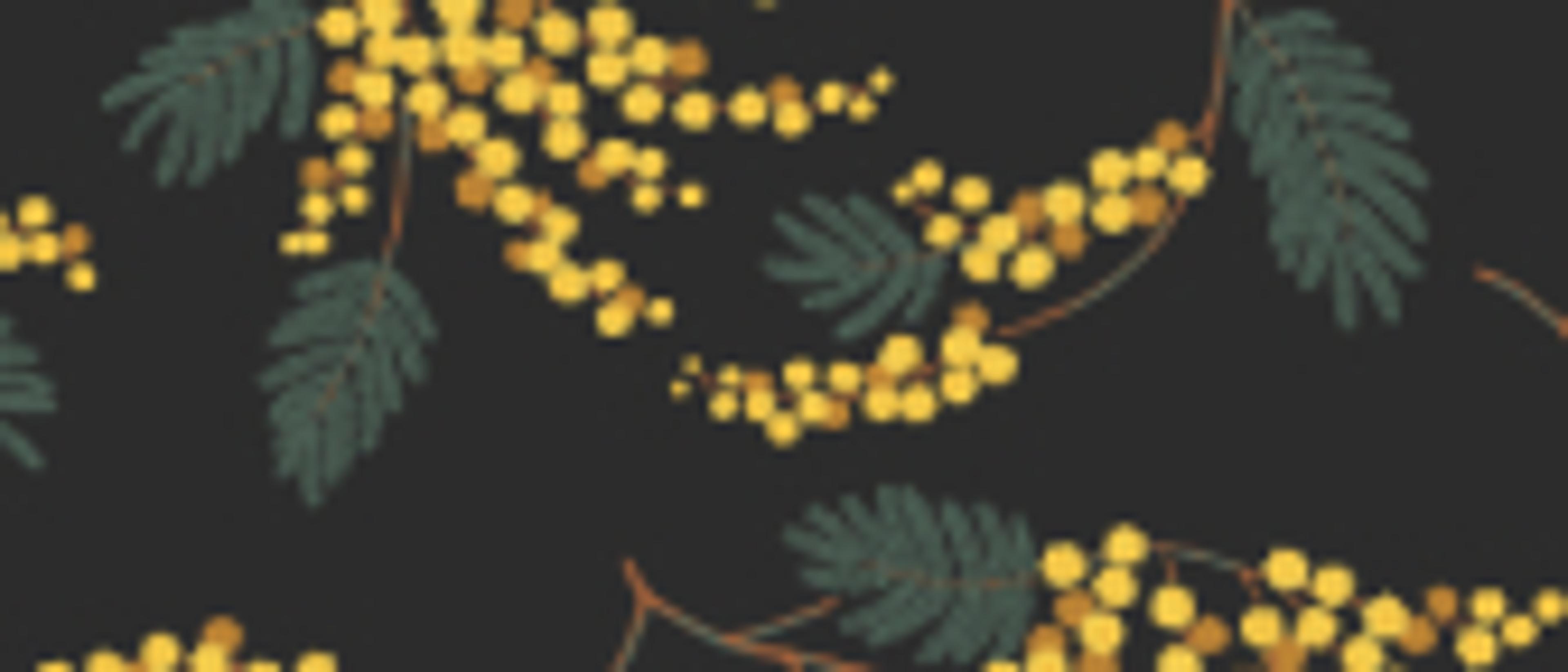Swatch for Acacia - Ebony