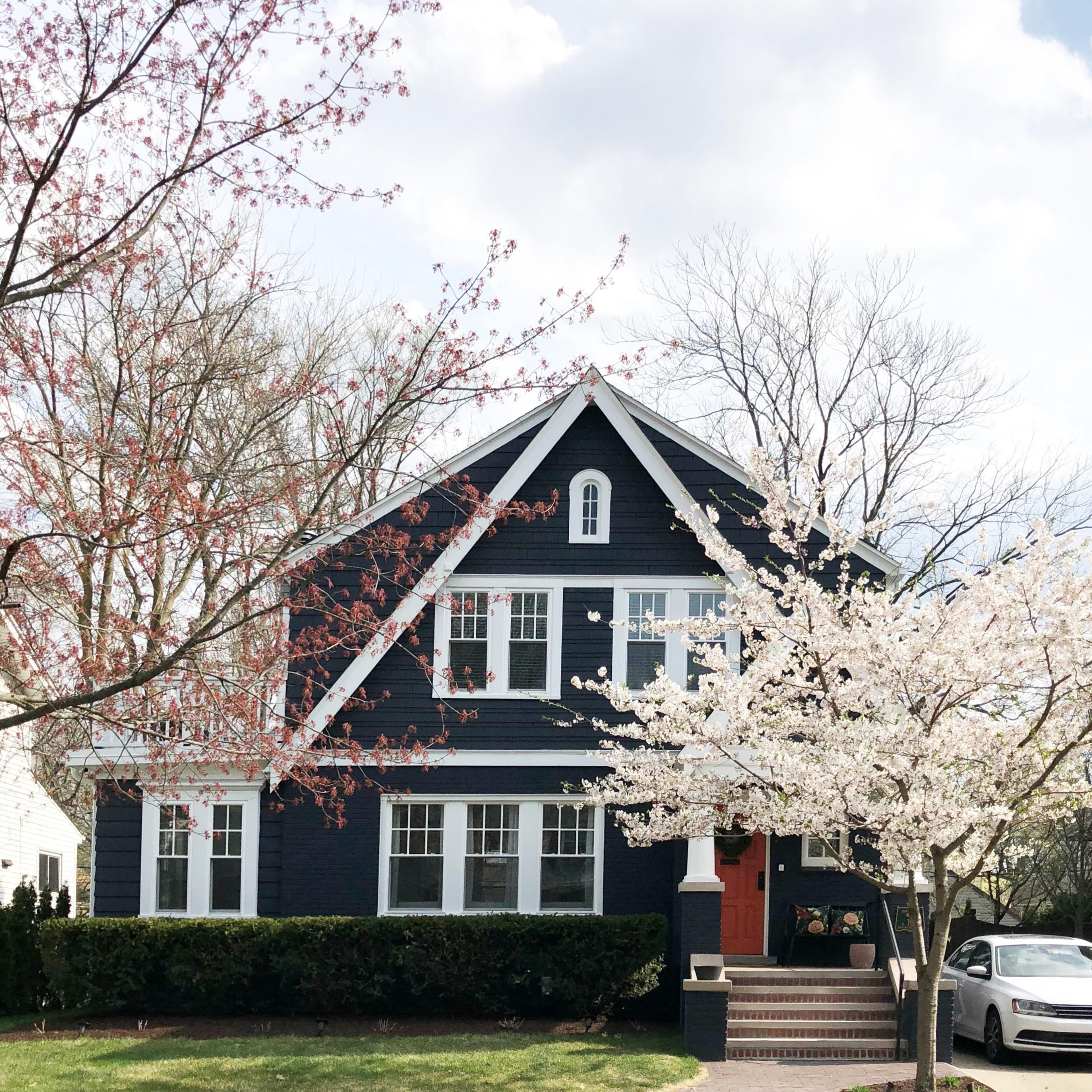 house with a tree in front