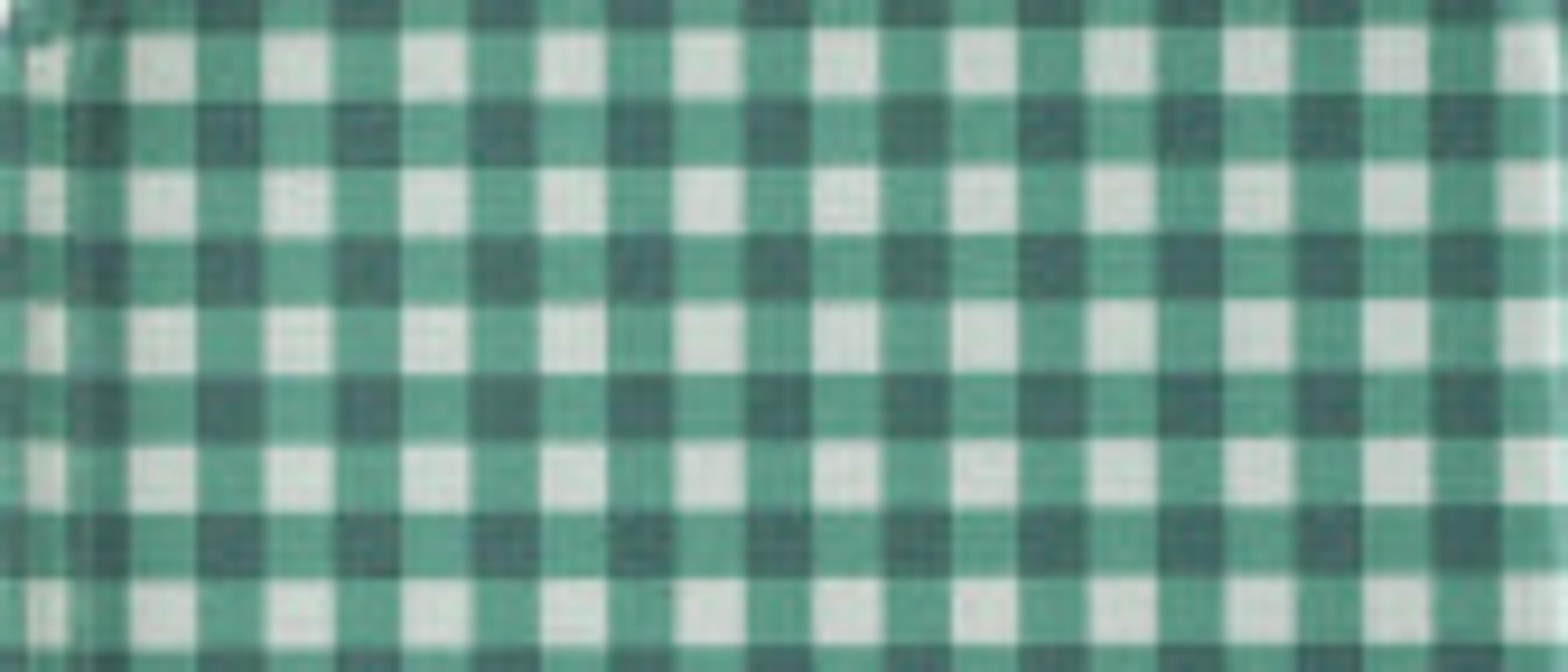 Swatch for Gingham Juniper